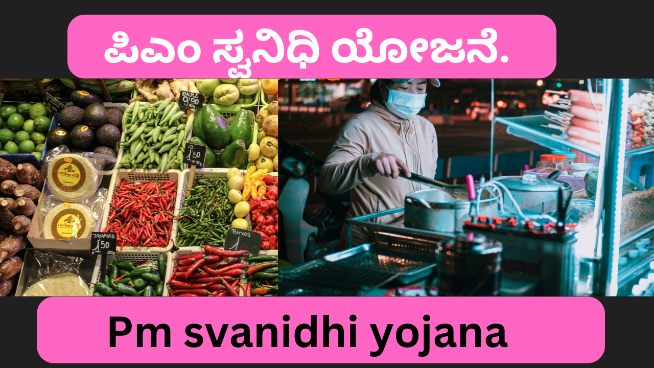 Pm svanidhi