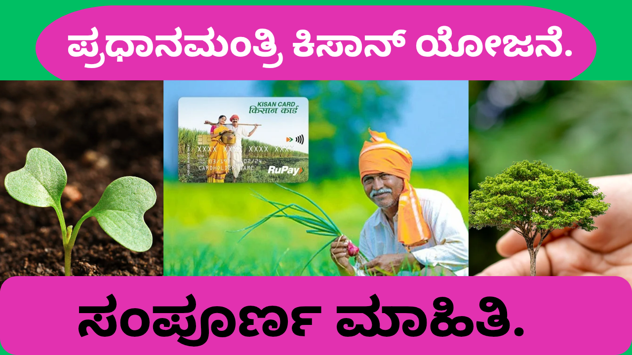 pm kisan yojana