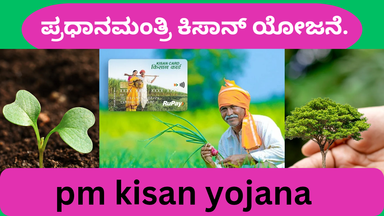 pm kisan yojana